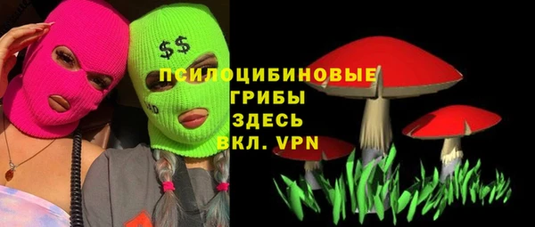 соль курить ск Михайлов