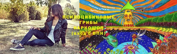 прущие крисы Михайловка