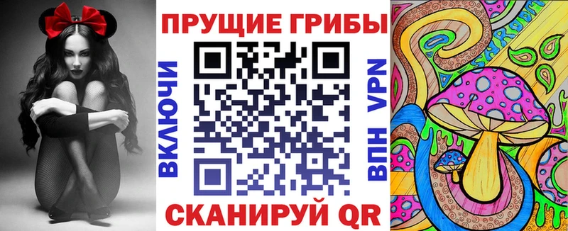 Псилоцибиновые грибы Psilocybine cubensis  Кингисепп 