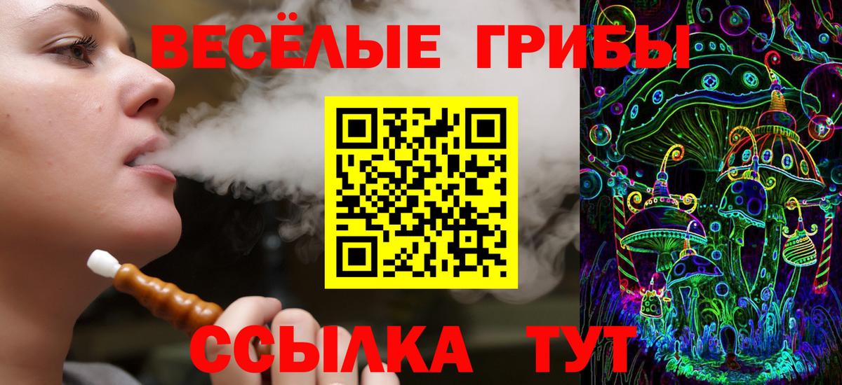 Галлюциногенные грибы ЛСД Кингисепп