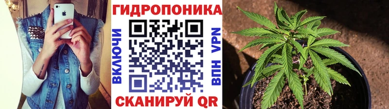 где купить наркоту  Кингисепп  Конопля план 